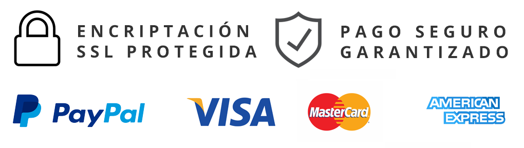pago seguro